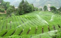 你知道怎么有效的節(jié)水灌溉嗎？